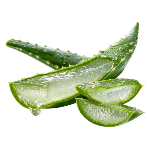 Aloe vera